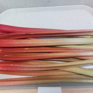 Talu Rabarber 1kg