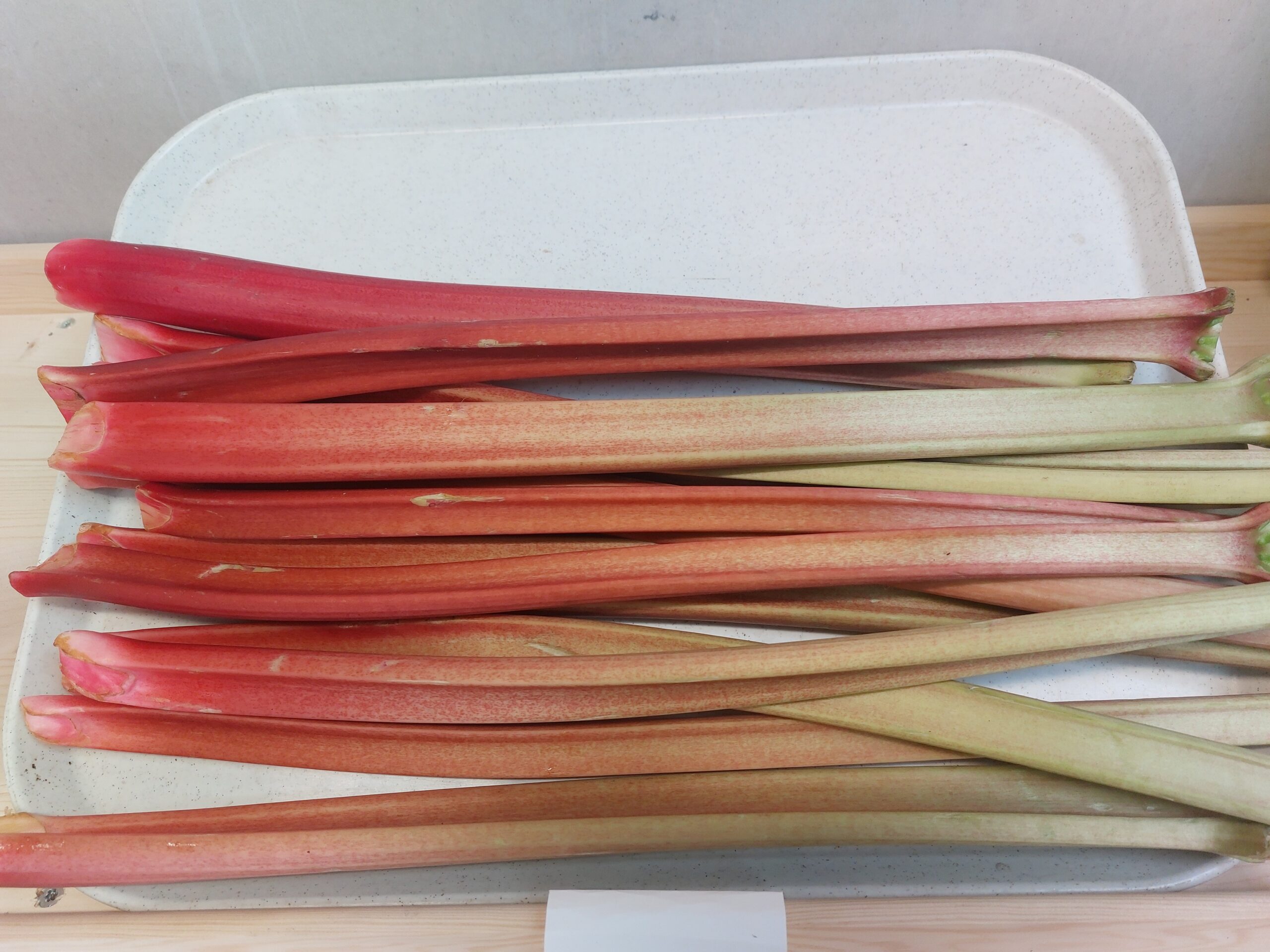 Talu Rabarber 1kg