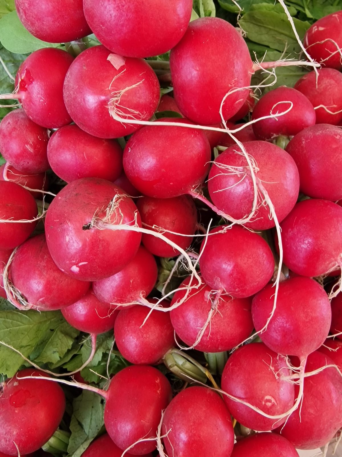 Värske Redis 200gr