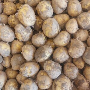 Värske Talu Kartul Paroli 1kg