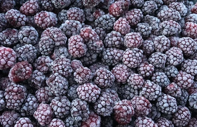 Külmutatud Põldmari 1kg