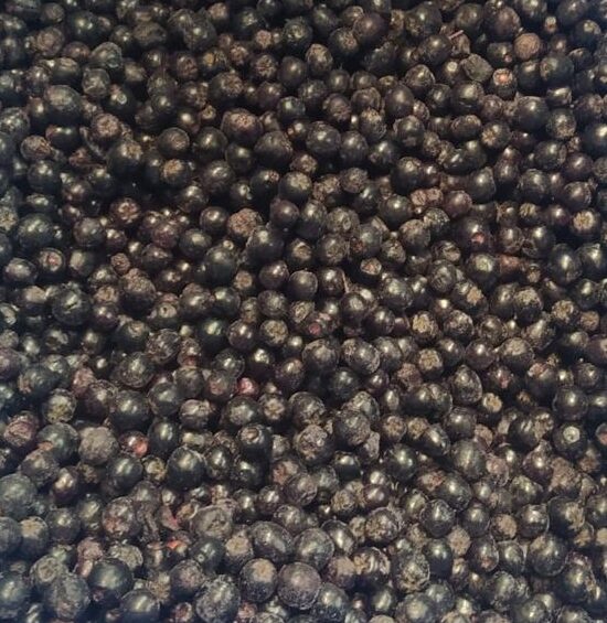 Külmutatud Metsmustikas 1kg