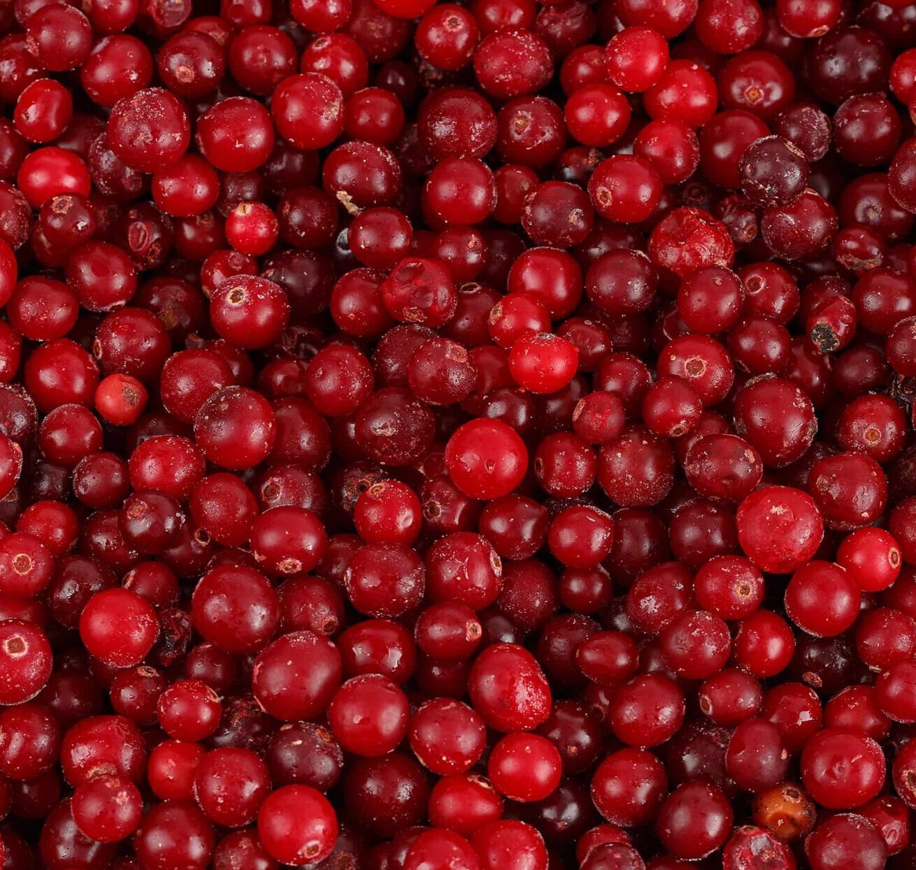 Külmutatud Raba Jõhvikas 1kg
