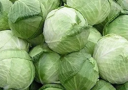 Värske kapsas 1kg