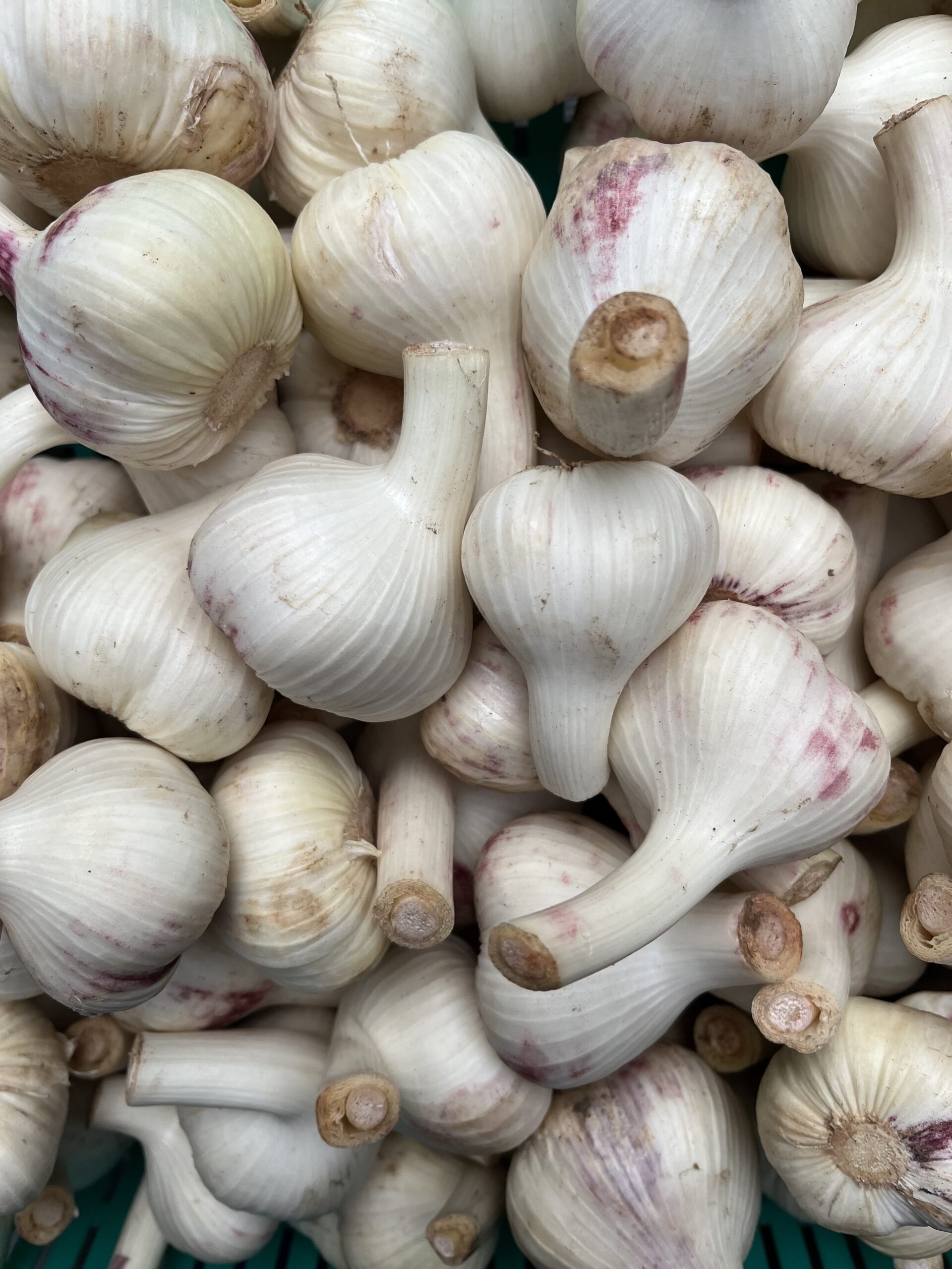 Peipsi Küüslauk 0.5kg