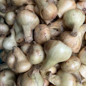 Peipsi Mugulsibul 1kg
