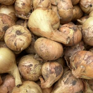 Peipsi Mugulsibul 1kg