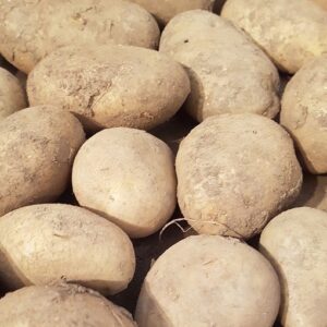 Talu Kartul Afra Kott 25kg