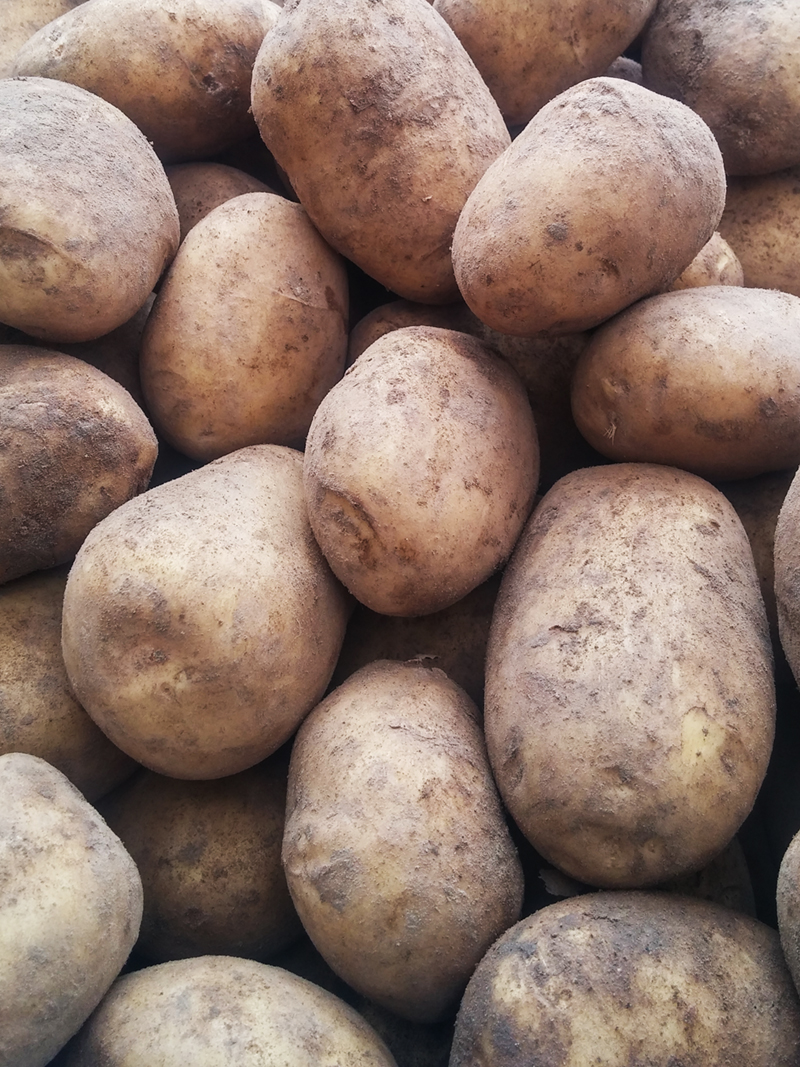 Talukartul Lea 1kg